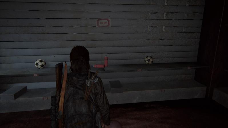 Soccer in the Last of Us