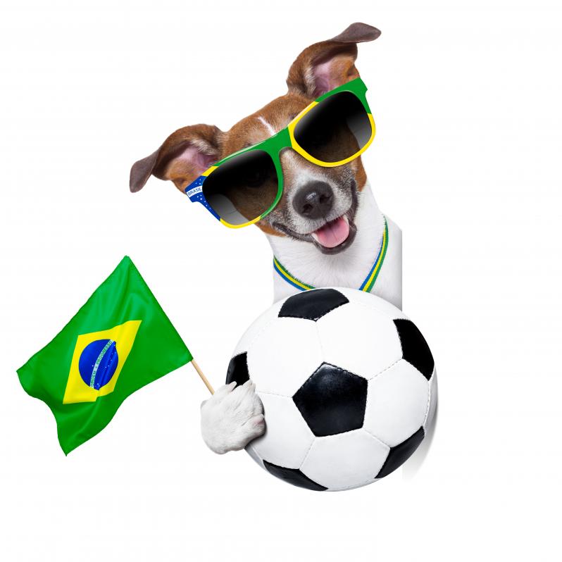 Soccer Dogs