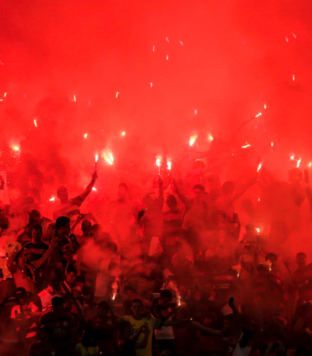 Fans At Copa Sudamericana Final