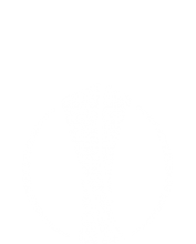 Europa League Logo