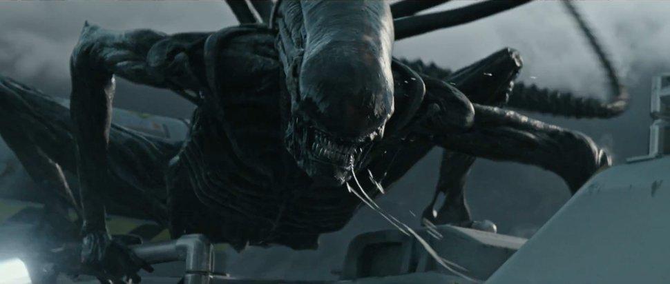 Xenomorph