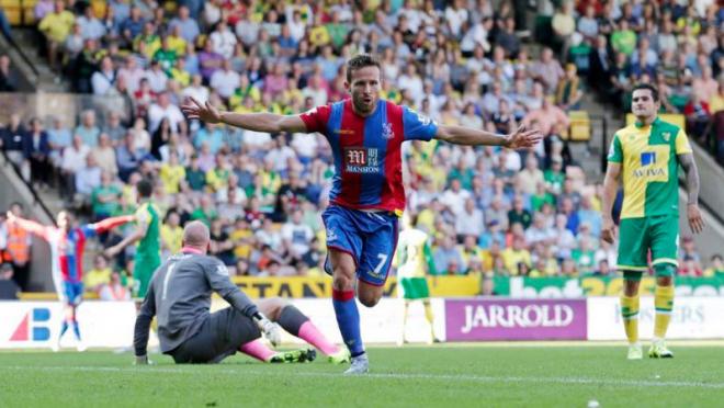 Yohan Cabaye celebrates after scoring against Norwich City.