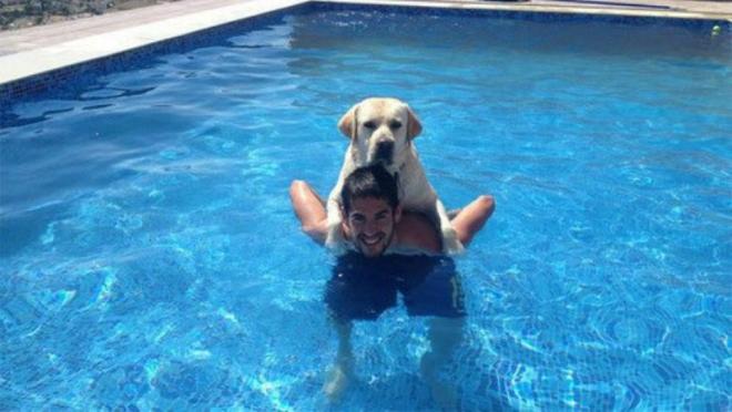 Isco's Dog named Messi