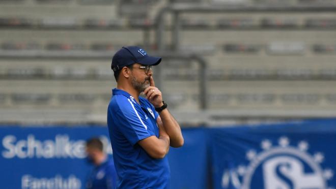 David Wagner