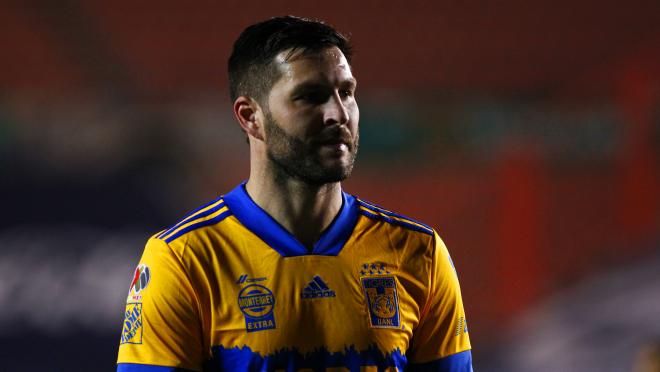 Gignac Tigres