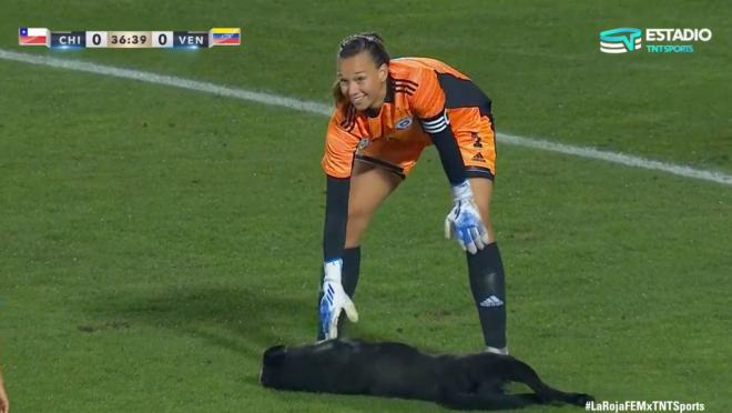 Christiane Endler pets a dog