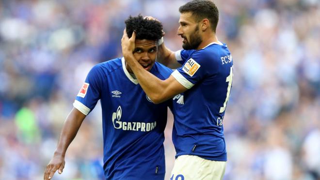 Weston McKennie Schalke assist