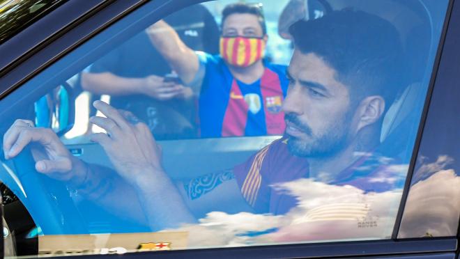 Luis Suarez Atletico transfer