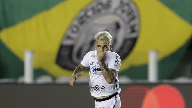 Santos advance to Copa Libertadores final