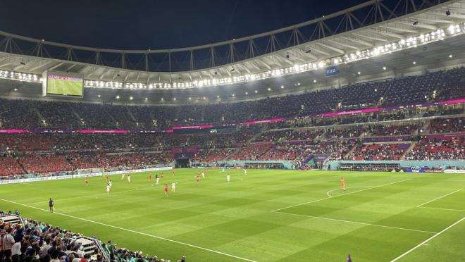 USA Fan In Qatar