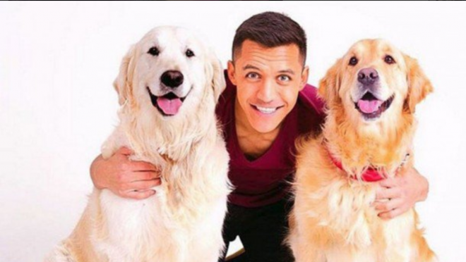 Alexis Sanchez Dogs