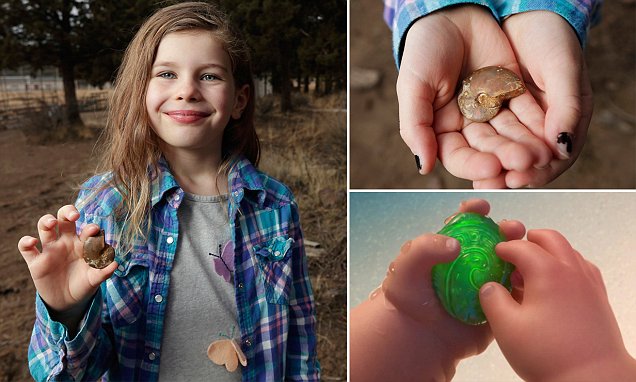 Girl finds fossil on soccer field