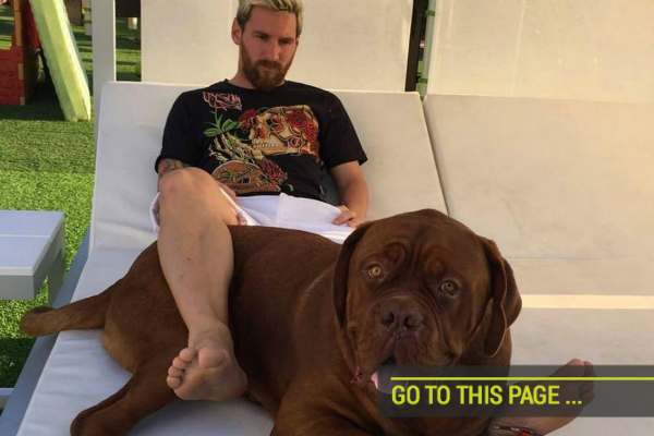 Messi dog